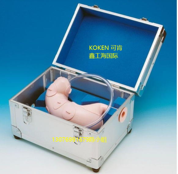 Koken ESD (Endoscopy Submucosal Dissection) （内窥镜黏膜下剥离术）训练模型带