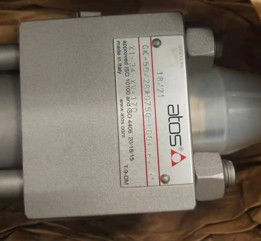 ATOS 油缸 CK-50/28*0750-L004-AW-B1