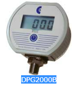 CECOMP 压力表 DPG2000B
