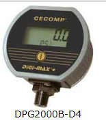 CECOMP 压力表 DPG2000B-D4